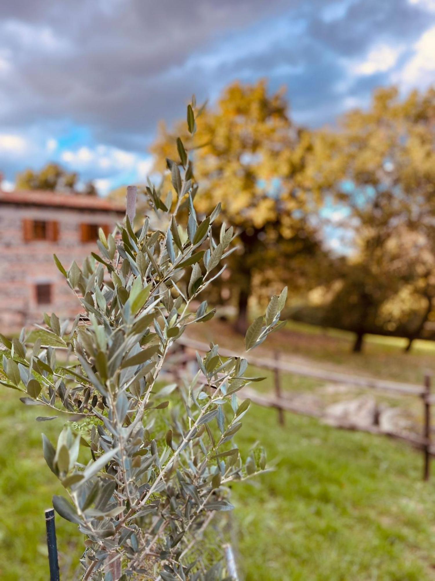 Casetta Di Ugolino Radicofani Kültér fotó